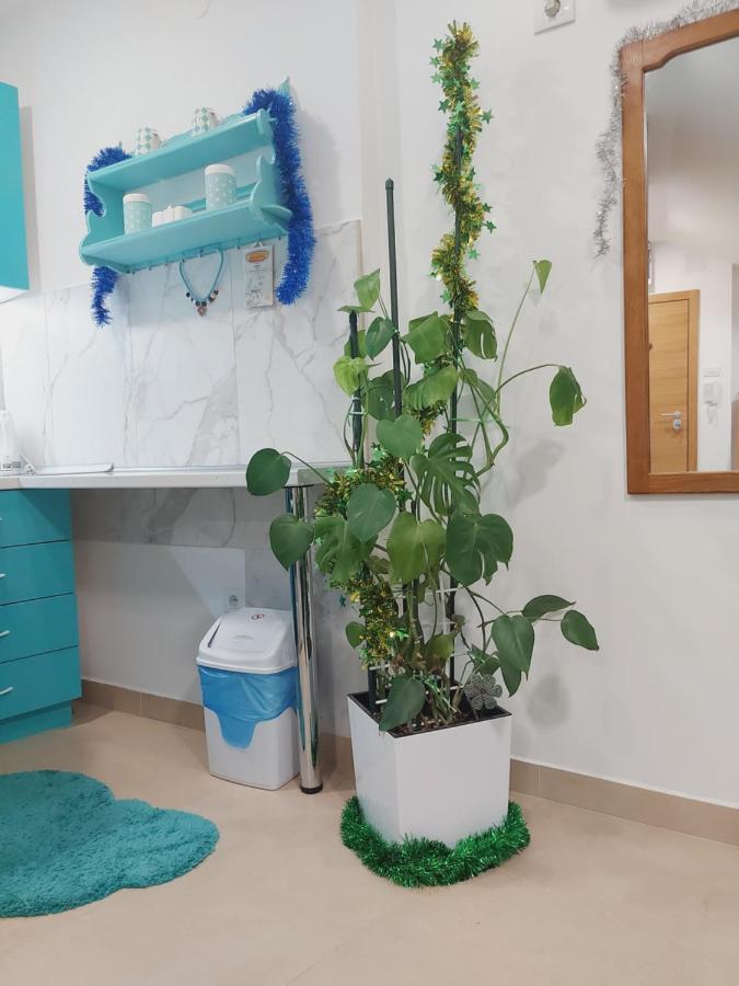 Apartman Santorini โนวีซาด ภายนอก รูปภาพ